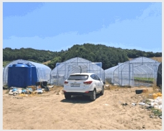  2025Ÿ��72407 ��� ��õ�� ��¡�� ������ 771      ����(��)���