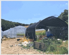  2025Ÿ��72407 ��� ��õ�� ��¡�� ������ 771      ����(��)���