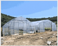  2025Ÿ��72407 ��� ��õ�� ��¡�� ������ 771      ����(��)���