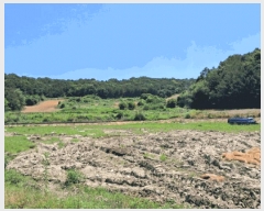  2025Ÿ��72407 ��� ��õ�� ��¡�� ������ 771      ����(��)���