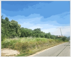  2025Ÿ��72435  �����