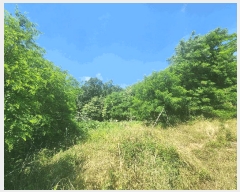  2025Ÿ��72435  �����