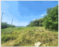  2025Ÿ��72435  �����