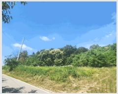  2025Ÿ��72435  �����