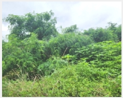  2025Ÿ��72435  �����