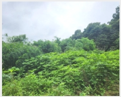  2025Ÿ��72435  �����