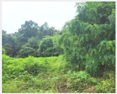  2025Ÿ��72435  �����