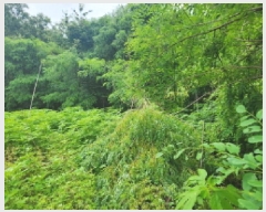  2025Ÿ��72435  �����