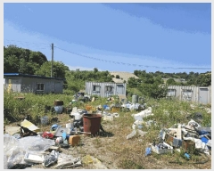  2025Ÿ��72449 ��� ���ֽ� ������ ���ϸ� 137-3      ������