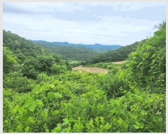  2025Ÿ��72474  �����