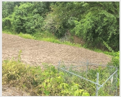  2025Ÿ��72474  �����