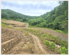  2025Ÿ��72474  �����