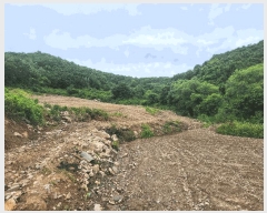  2025Ÿ��72474  �����