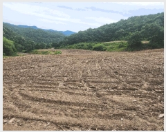  2025Ÿ��72474  �����