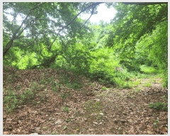  2025Ÿ��72474  �����