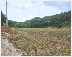  2025Ÿ��72474  �����