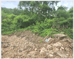  2025Ÿ��72474  �����