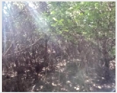  2025Ÿ��72638  �Ӿ߰��