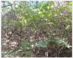  2025Ÿ��72638  �Ӿ߰��