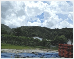  2025Ÿ��72704  �Ӿ߰��