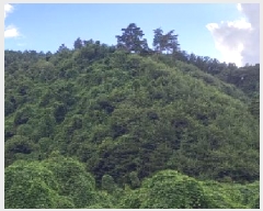  2025Ÿ��72704  �Ӿ߰��