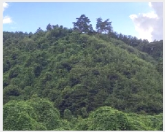  2025Ÿ��72704  �Ӿ߰��