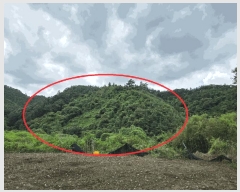  2025Ÿ��72704  �Ӿ߰��