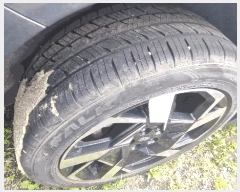  2025Ÿ��72742 ��� ���ֽ� �鼮�� �漺�� 492-3 ����������     �������