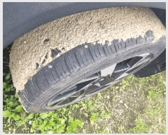  2025Ÿ��72742 ��� ���ֽ� �鼮�� �漺�� 492-3 ����������     �������