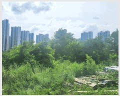  2025Ÿ��72862 ��� ���ֽ� ������ 1018-10       ����(����)���