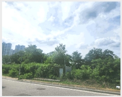  2025Ÿ��72862 ��� ���ֽ� ������ 1018-10       ����(����)���