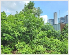  2025Ÿ��72862 ��� ���ֽ� ������ 1018-10       ����(����)���