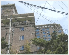  2025Ÿ��51240 ���� ���� ����� 91-7 �ôϾ�ĳ�� Ŭ��ÿ� 7��712ȣ    �����ڽü����