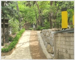  2025Ÿ��51240 ���� ���� ����� 91-7 �ôϾ�ĳ�� Ŭ��ÿ� 7��712ȣ    �����ڽü����