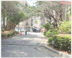  2025Ÿ��51240 ���� ���� ����� 91-7 �ôϾ�ĳ�� Ŭ��ÿ� 7��712ȣ    �����ڽü����