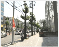  2025Ÿ��51292  ���ǽ��ڰ��