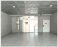  2025Ÿ��51326  ���ǽ��ڰ��