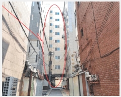  2025Ÿ��51391  ���ǽ��ڰ��