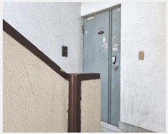  2025Ÿ��51732  �ټ���(����)���