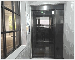  2025Ÿ��51796  �ټ���(����)���