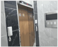  2025Ÿ��51796  �ټ���(����)���