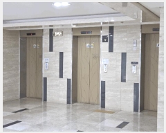  2025Ÿ��51834 ���� ���빮�� �����µ� 387 �𿥾�����101��  2��223ȣ    ����Ʈ���