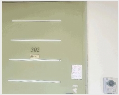  2025Ÿ��51852  ����Ʈ���