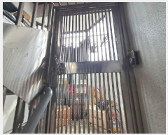  2025Ÿ��51856  �ټ���(����)���