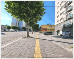  2025Ÿ��51894  ���ǽ��ڰ��