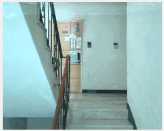  2025Ÿ��51933  �ټ���(����)���