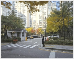  2025Ÿ��52114  ����Ʈ���