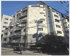  2025Ÿ��52196  �ټ���(����)���