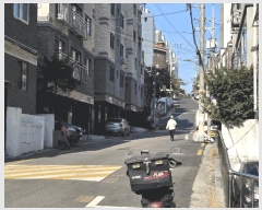  2025Ÿ��52196  �ټ���(����)���