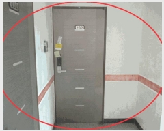  2025Ÿ��52249  �ټ���(����)���